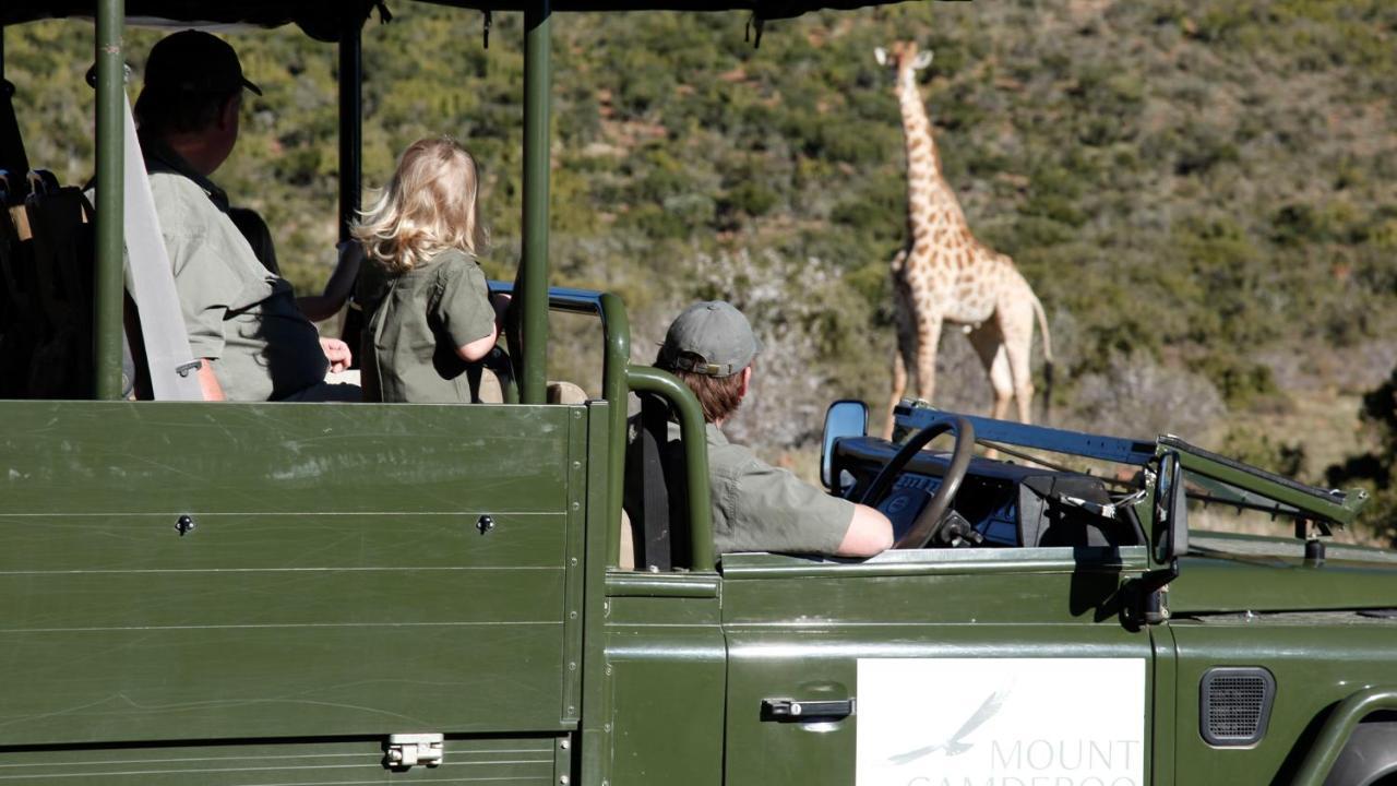 Mount Camdeboo Private Game Reserve By Newmark Graaff-Reinet Exteriör bild